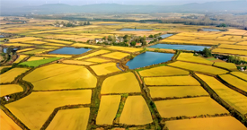 安徽滁州粮食储备库携手净松环境,共筑现代化绿色储粮新标杆 #粮仓空调